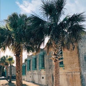 Meet your Posher, Bárbara diana